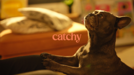 Welcome to the Fondation