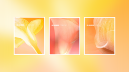 Welcome to the Fondation